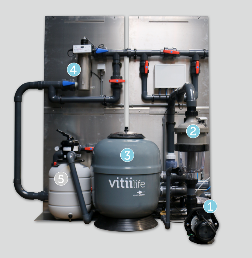 local technique piscine bio